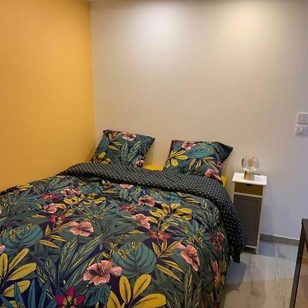 Appartement Etat Neuf La Chantalane -Proche Centre-Ville Cannes Ngoại thất bức ảnh