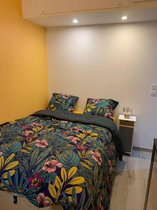 Appartement Etat Neuf La Chantalane -Proche Centre-Ville Cannes Ngoại thất bức ảnh